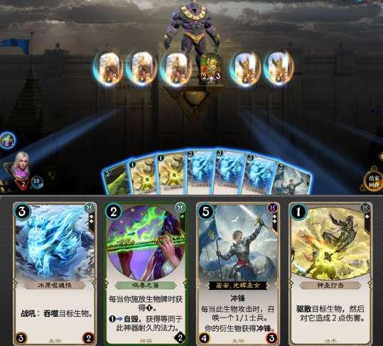 可爱的小孔雀救援